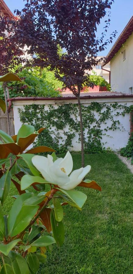 Casa Mir Hotel Năvodari Екстериор снимка